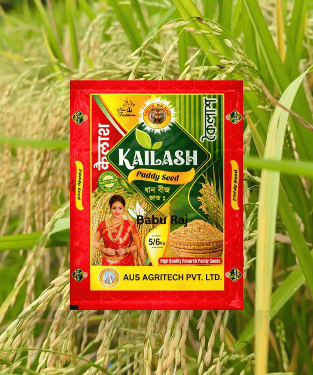 Untitled design - 2026-04-19T182129.048